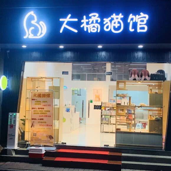 大橘猫馆(棠下店):广州市天河区棠下附近