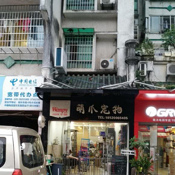 萌爪宠物:广州市天河区棠下附近