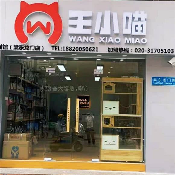 孙小喵专业猫馆:广州市天河区棠下附近