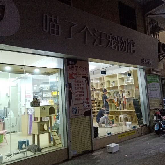 喵了个汪宠物馆(珠村店):广州市天河区黄村/奥体附近