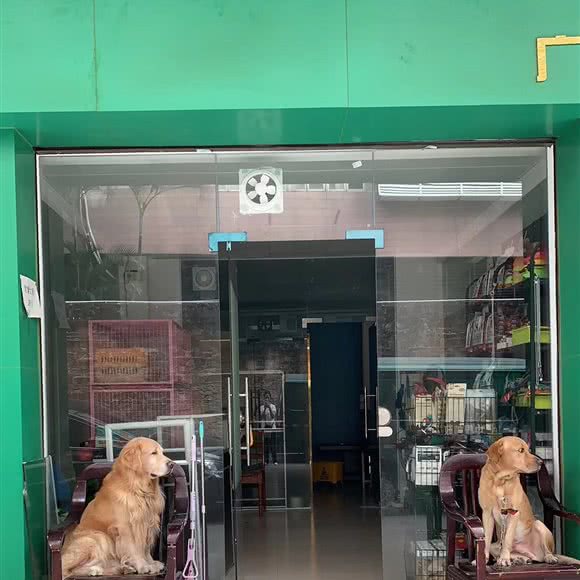 布鲁妈宠物店:广州市天河区石牌/百脑汇附近