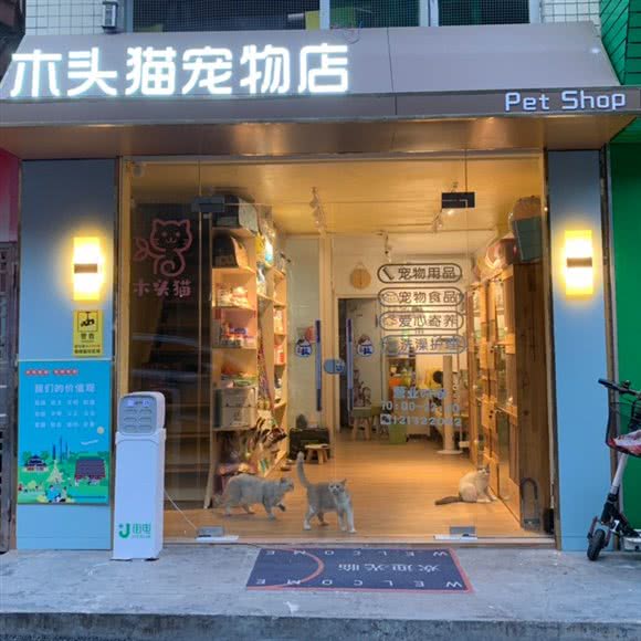 木头猫宠物店:广州市白云区同和/京溪附近