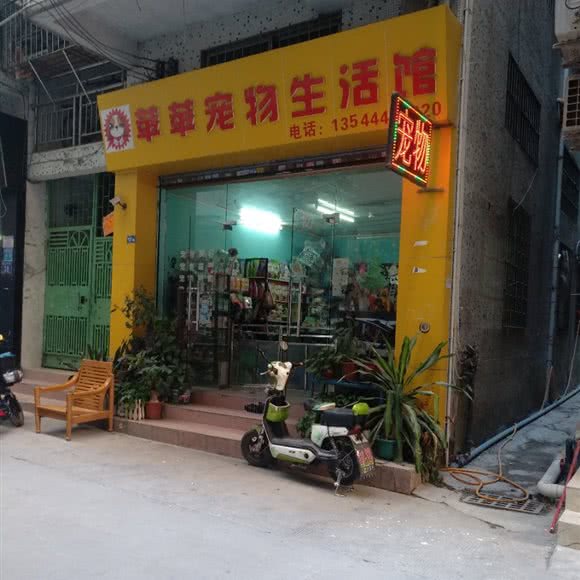 苹苹宠物狗生活馆:广州市白云区同和/京溪附近