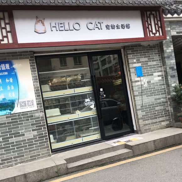 Hello cat 宠物生活馆:广州市白云区广园新村附近