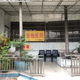 宠物研究中心:广州市白云区广园新村附近