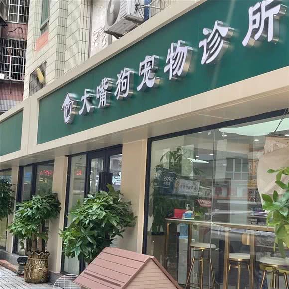 大嘴狗宠物诊所(岗贝店):广州市白云区机场路沿线附近