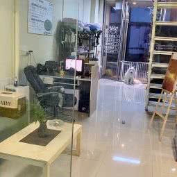 DIY(私宠社):广州市白云区白云大道沿线附近