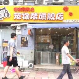 老友狗狗之宠物帮旗舰店:广州市白云区白云大道沿线附近