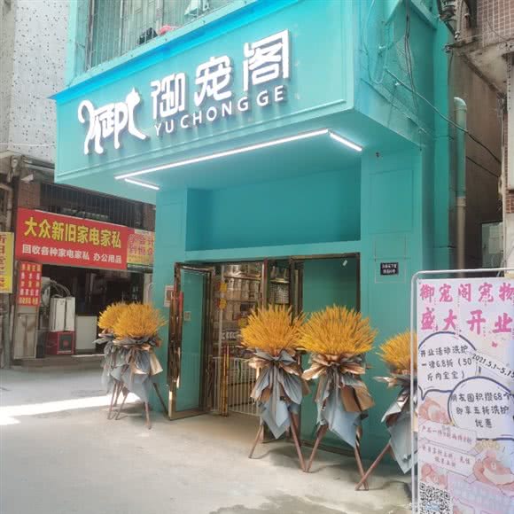 御宠阁宠物&猫咖(元下田别墅店):广州市白云区白云大道沿线附近