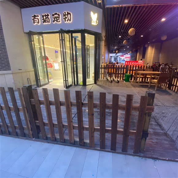 有猫宠物(吾悦广场店):天津城区津南区咸水沽附近
