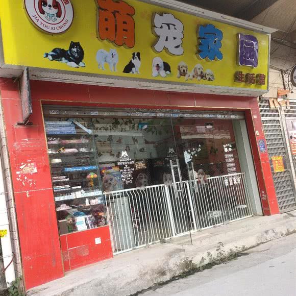 萌宠家园:广州市白云区黄石附近