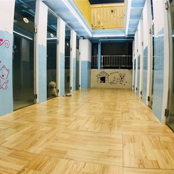 3Q宠艺造型沙龙宠物店(云都汇店):广州市白云区黄石附近