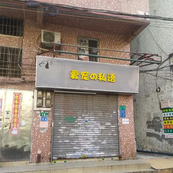 爱宠私语:广州市白云区新市附近