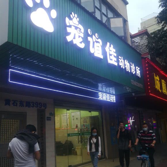 宠谊佳动物诊所:广州市白云区新市附近