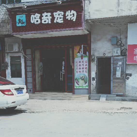 哈奇宠物:广州市白云区钟落潭附近