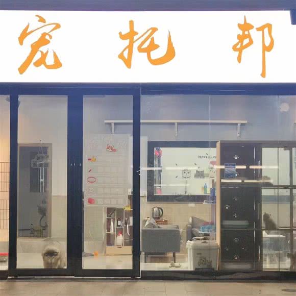 宠托邦旗舰店:广州市白云区同德围附近