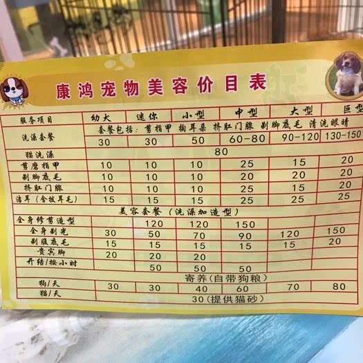 康鸿宠物店:广州市白云区同德围附近