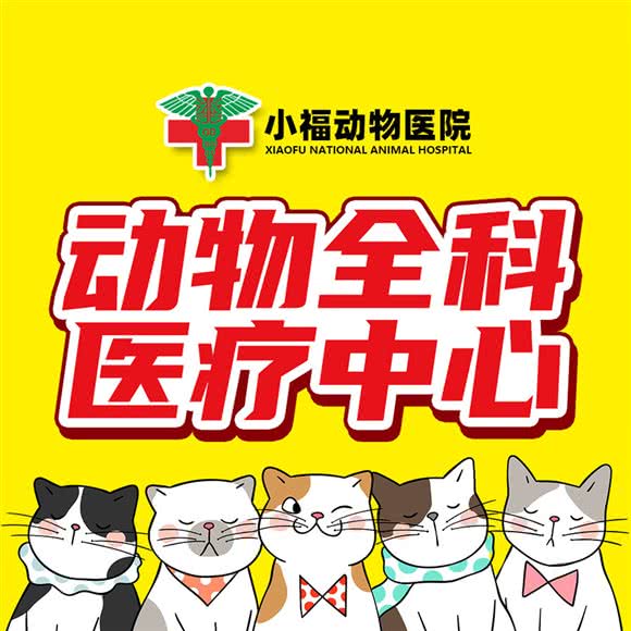 小福动物诊所:广州市白云区同德围附近