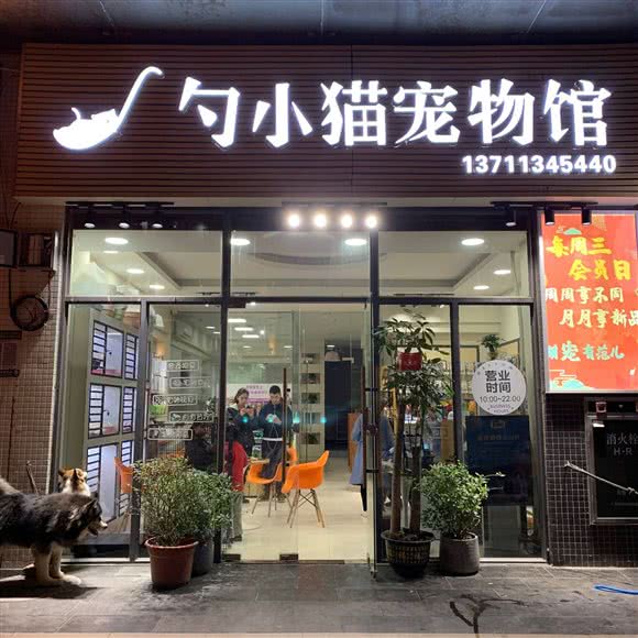 勺小猫宠物馆:广州市白云区永泰附近