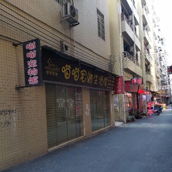 喵喵宠物狗生活馆:广州市白云区永泰附近