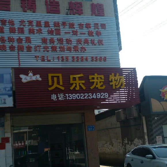 贝乐宠物:广州市白云区太和镇附近