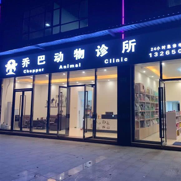 乔巴动物诊所:广州市白云区龙归镇附近