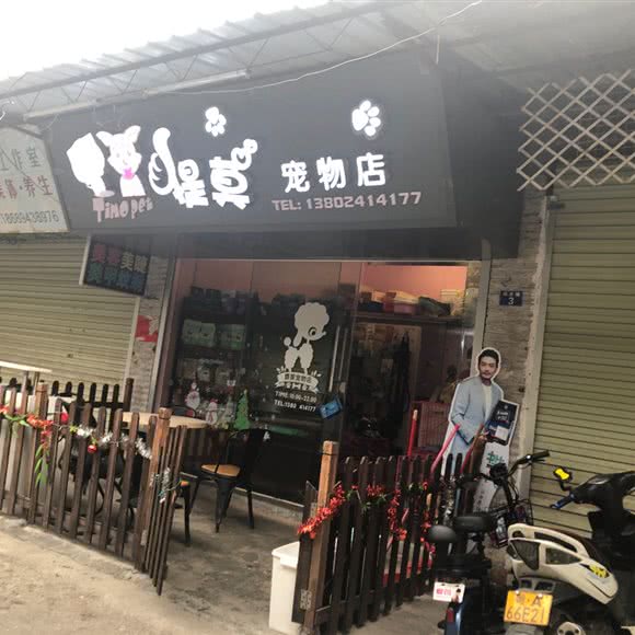提莫宠物店:广州市白云区嘉禾/人和附近