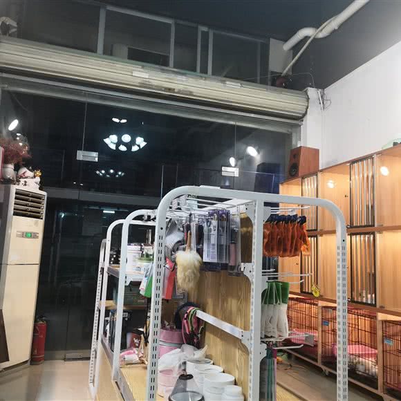 萌奇宠屋:广州市白云区嘉禾/人和附近