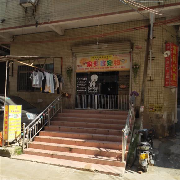 家多宝宠物:广州市白云区嘉禾/人和附近