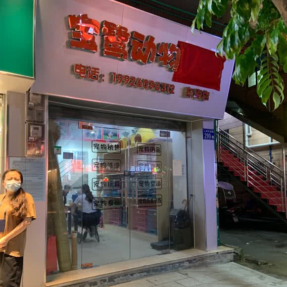 宝鹭动物(东华店):广州市白云区嘉禾/人和附近