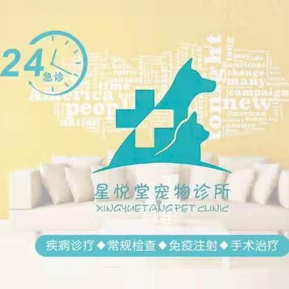 星悦堂宠物医院:广州市白云区嘉禾/人和附近