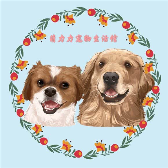 萌力力宠物生活馆(庆丰店):广州市白云区石井附近