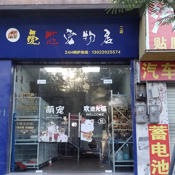 爱宠宠物居:广州市白云区石井附近