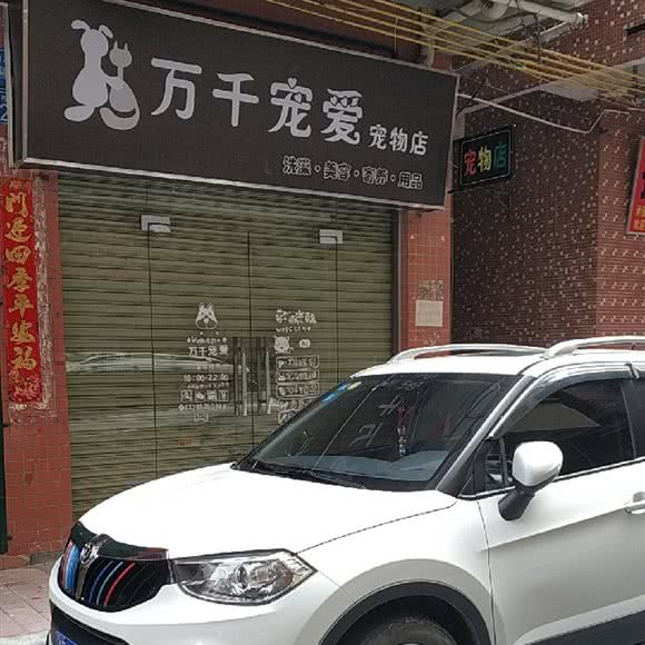 万千宠爱宠物店:广州市白云区石井附近