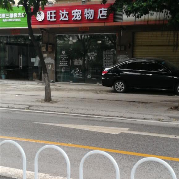 旺达宠物店:广州市白云区石井附近