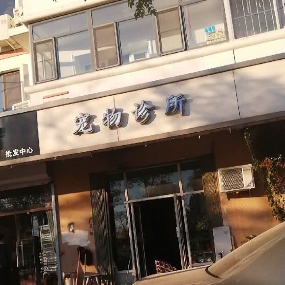 宠物狗诊所:天津城区津南区咸水沽附近