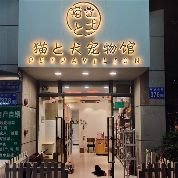 猫と犬宠物馆:广州市白云区罗冲围/金沙洲附近