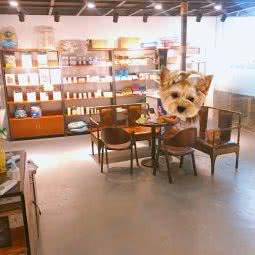 嘿喂狗宠物(金沙洲店):广州市白云区罗冲围/金沙洲附近