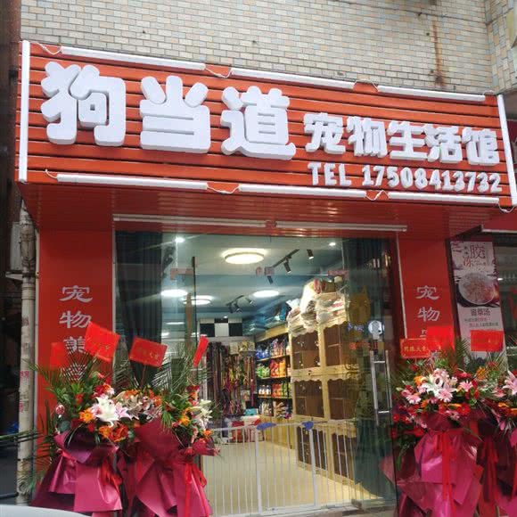 狗当道宠物生活馆:广州市白云区均禾附近