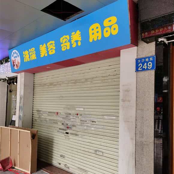 狗狗总动员:广州市黄埔区大沙地附近