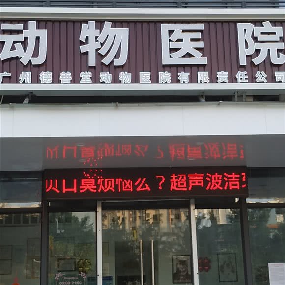 德善堂动物医院(骨科软组织外科)(黄埔大沙地分院):广州市黄埔区大沙地附近