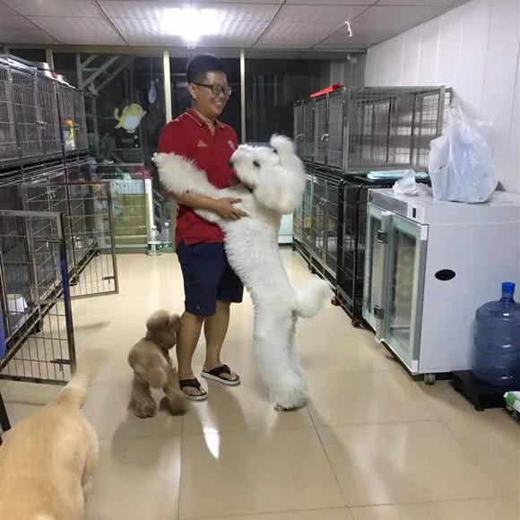一家宠物店:广州市黄埔区中心城附近