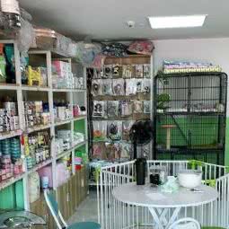圣宠宠物(萝岗奥园店):广州市黄埔区中心城附近