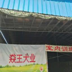 广州猋王犬业俱乐部:广州市黄埔区文冲附近