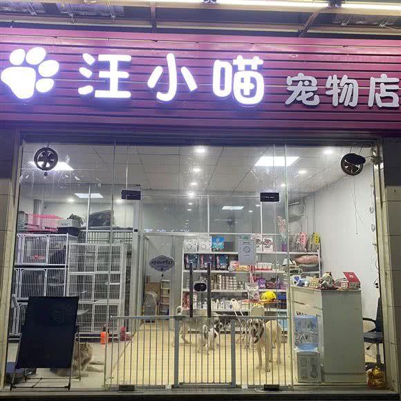 汪小喵宠物店:广州市黄埔区开发区东区附近