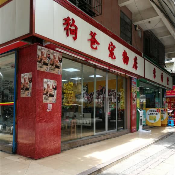 狗爸宠物店:广州市黄埔区开发区东区附近
