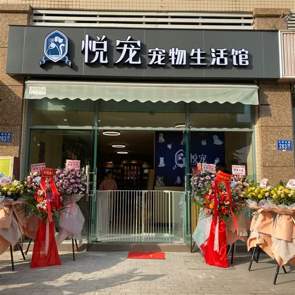 悦宠狗狗:广州市番禺区市桥附近