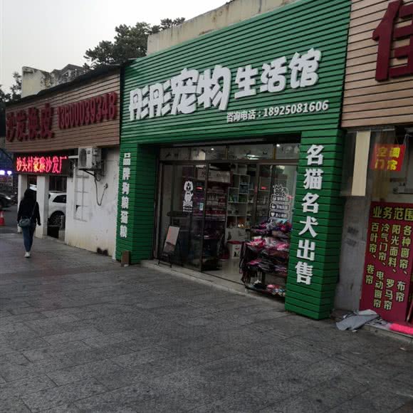 彤彤宠物生活馆:广州市番禺区市桥附近