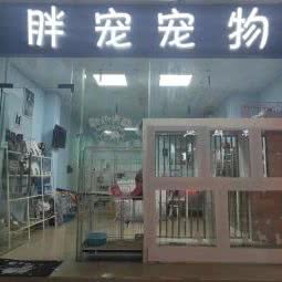 胖宠宠物狗:广州市番禺区市桥附近