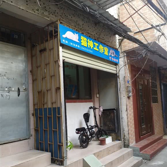 猫神工作室:广州市番禺区市桥附近